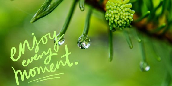 carpe diem-onko nyt hyva hetki tarttua hetkeen? Vihreä luontokuva ja teksti enjoy every moment