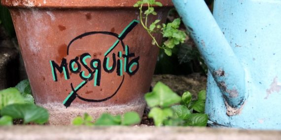 kesäinen kuva, jossa ruskea kukkapurkki ja sininen kastelukannu sekä teksti mosquito, Hyttyset sauna ja suomalainen kesa